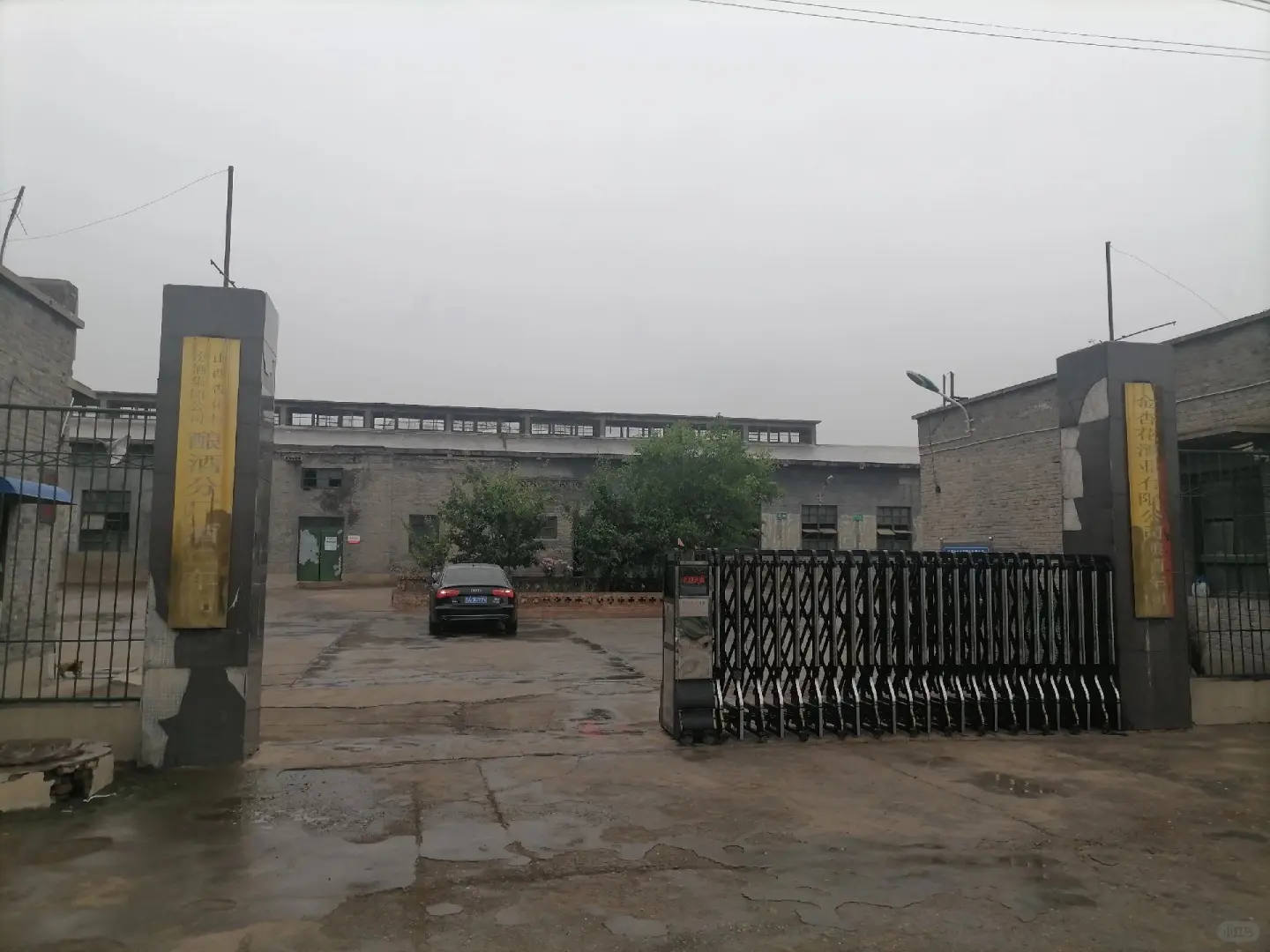汾阳金杏花酒业，馆陶金杏花老酒坊