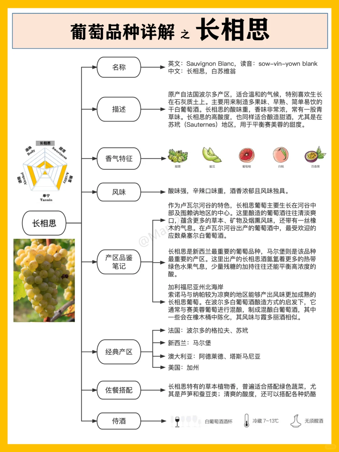 葡萄品种系列 | 世界八大葡萄风味品种