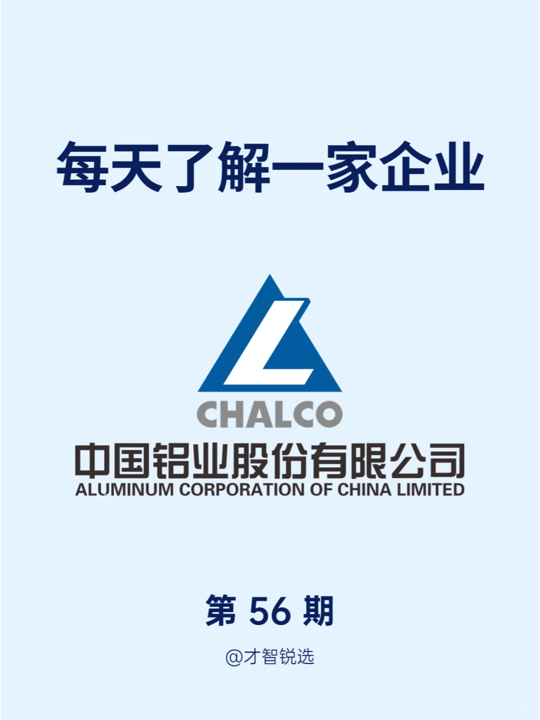 ?每日了解一家企业——中国铝业