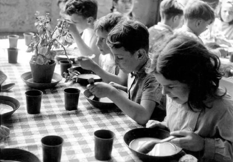 1950年法国，小学生在校食堂把葡萄酒当水喝
