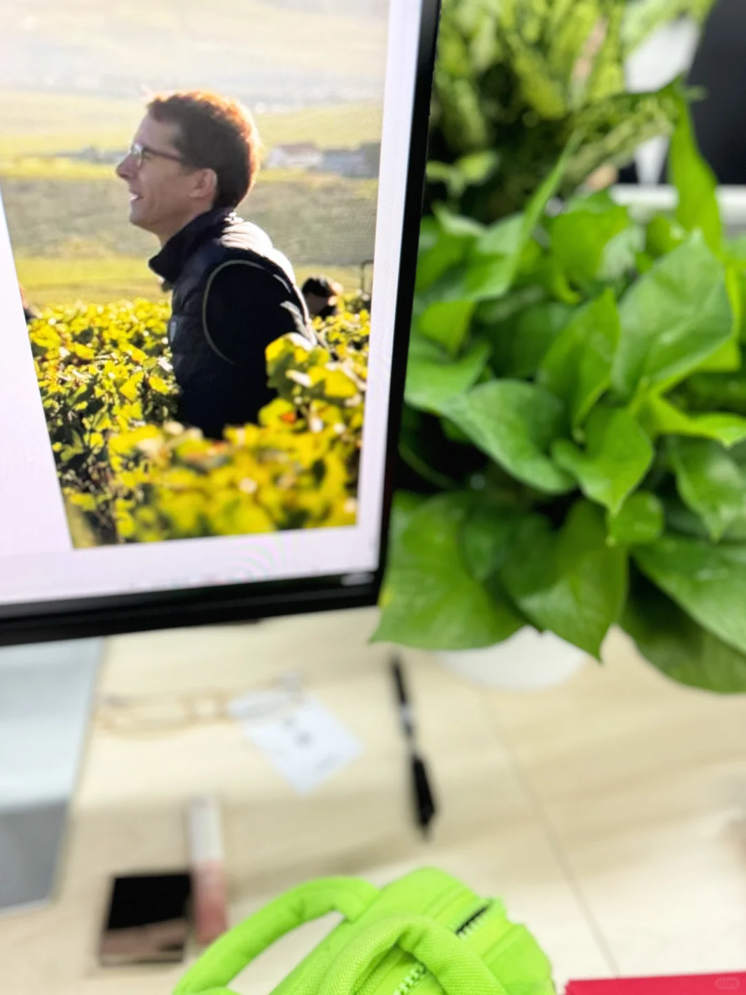 酒行业打工人?|事与愿违的时候,别着急?