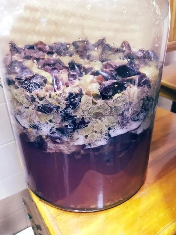 !!!一定,一定,不能喝自酿的葡萄酒?