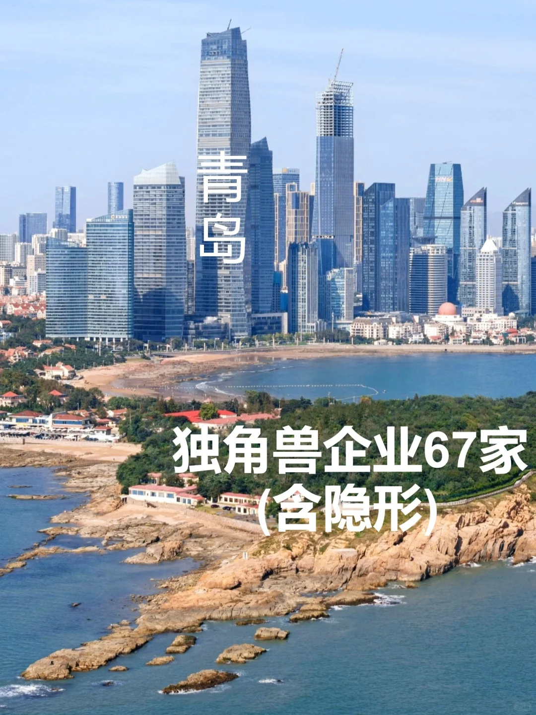 青岛独角兽企业67家(含隐形)