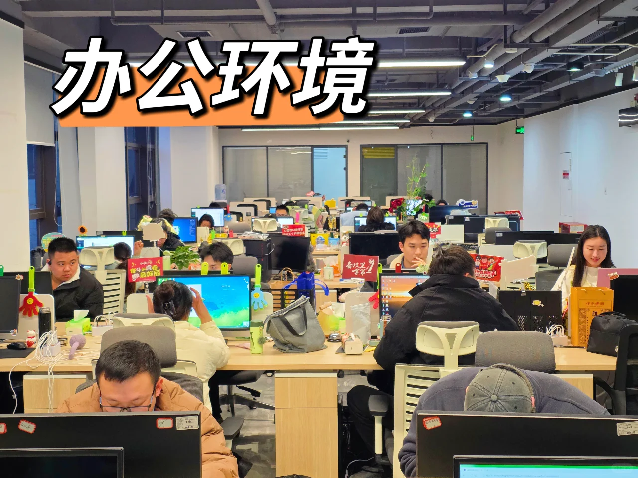 神仙公司招人啦！！！