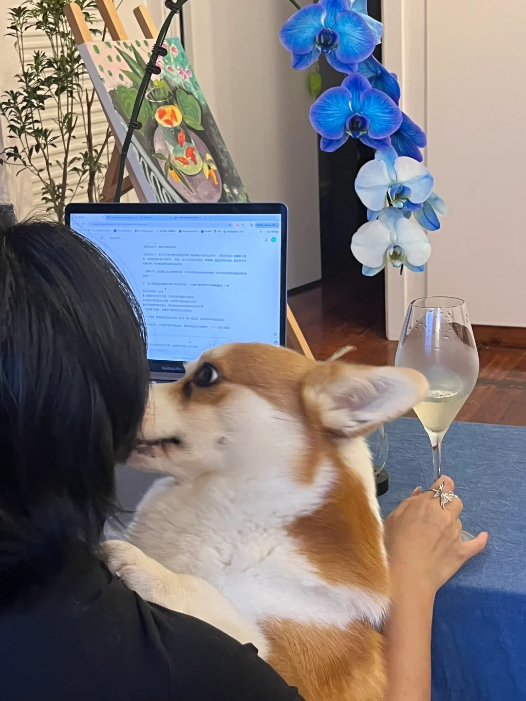 朋友问:88块的雷司令有必要好喝成这样吗?