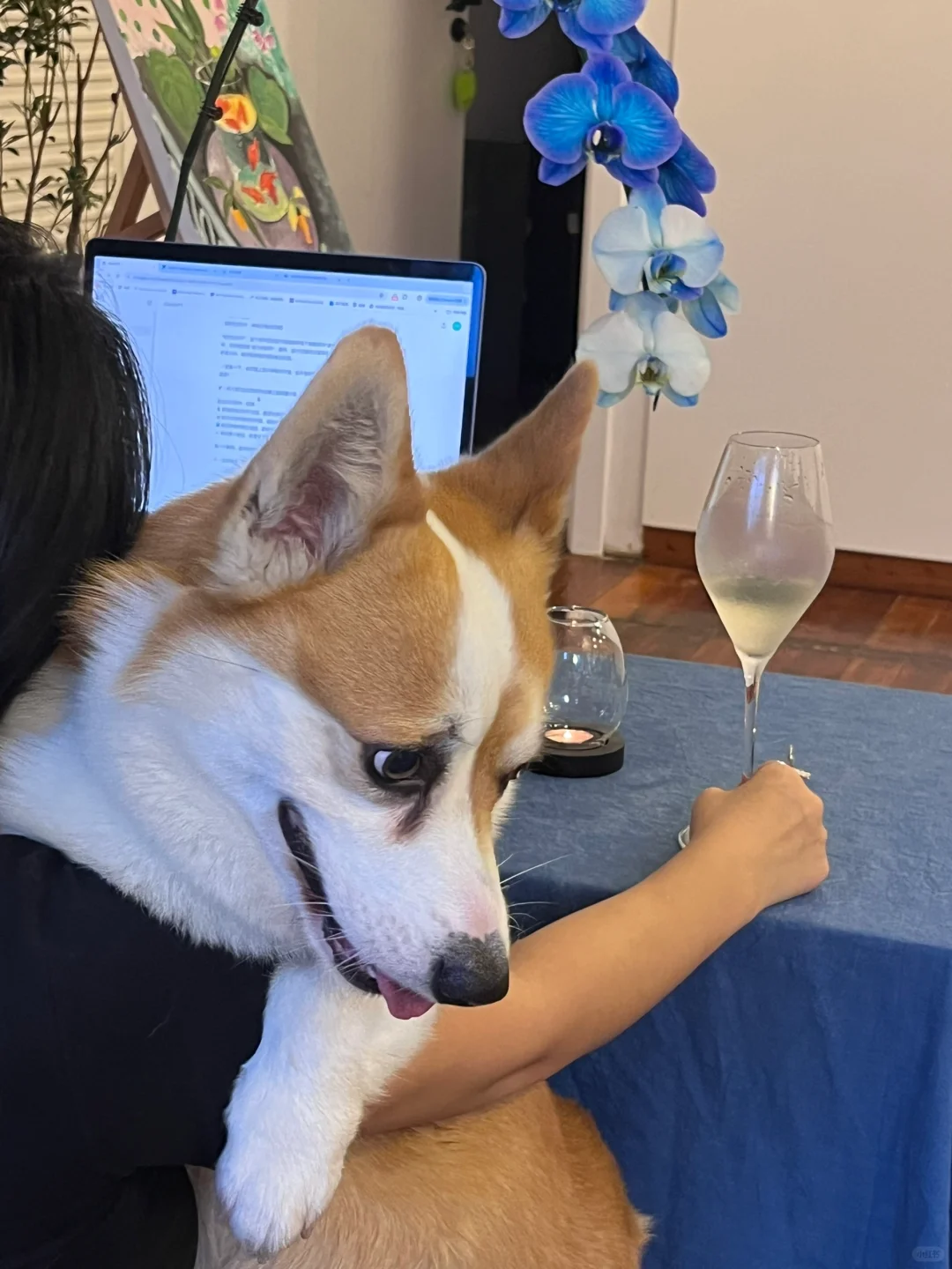 朋友问:88块的雷司令有必要好喝成这样吗?