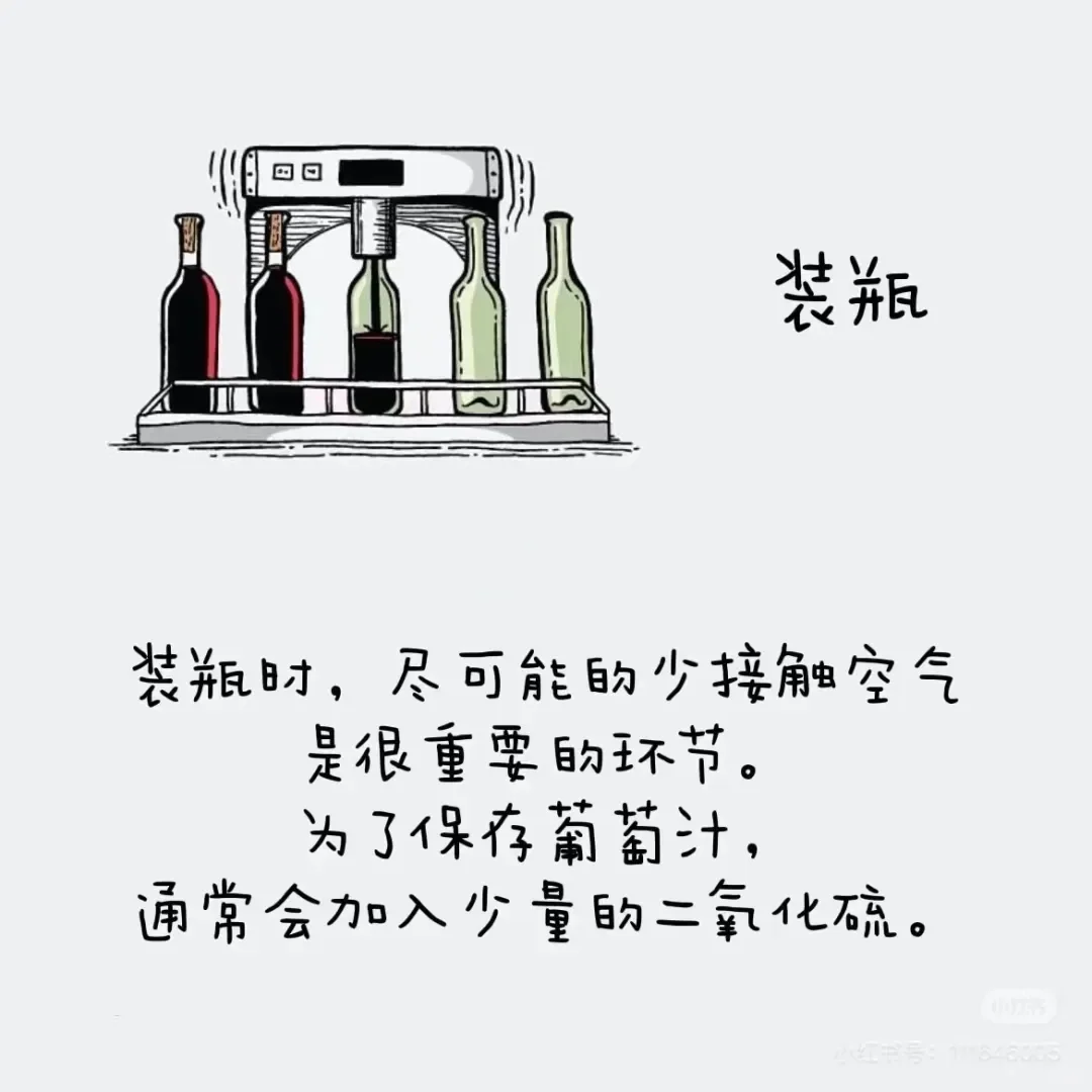 葡萄酒酒精度最高都是在15°左右?(下篇)