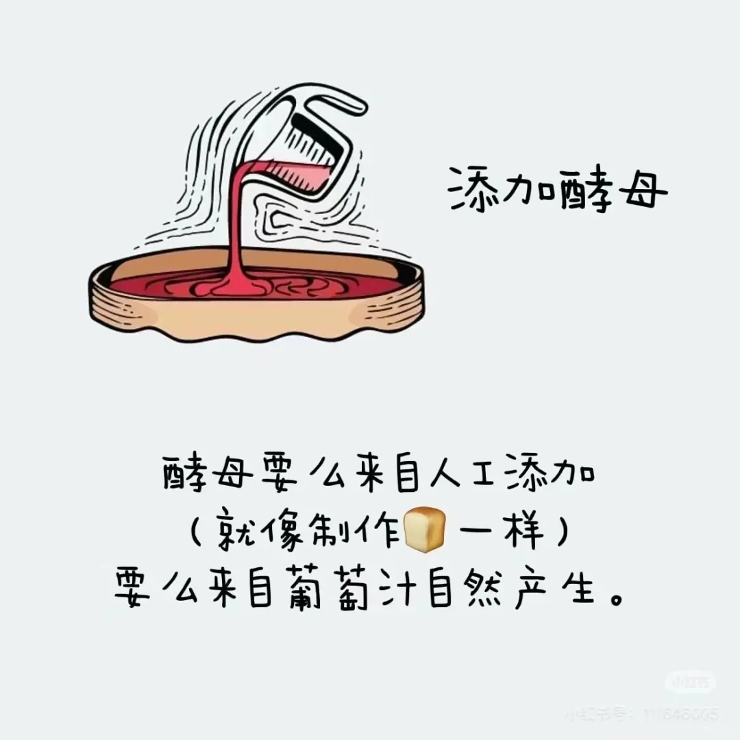 葡萄酒酒精度最高都是在15°左右?(下篇)