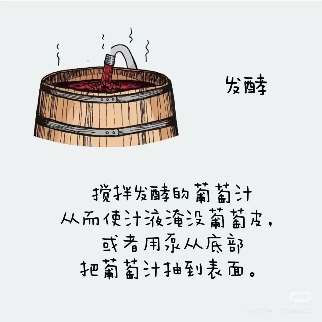 葡萄酒酒精度最高都是在15°左右?(下篇)