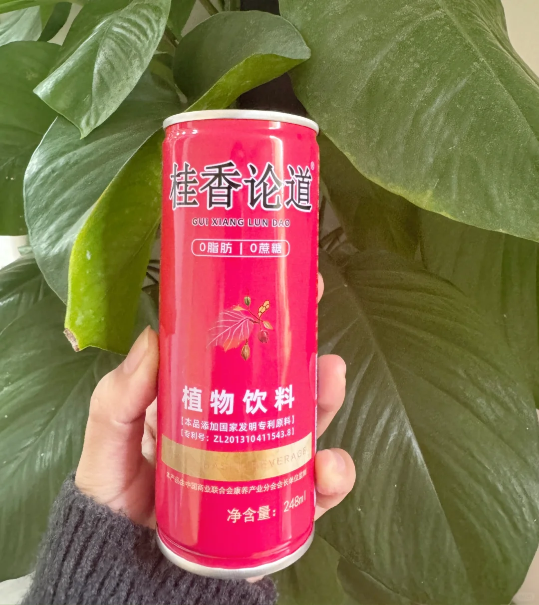 白酒配什么饮料，能够快速醒酒？