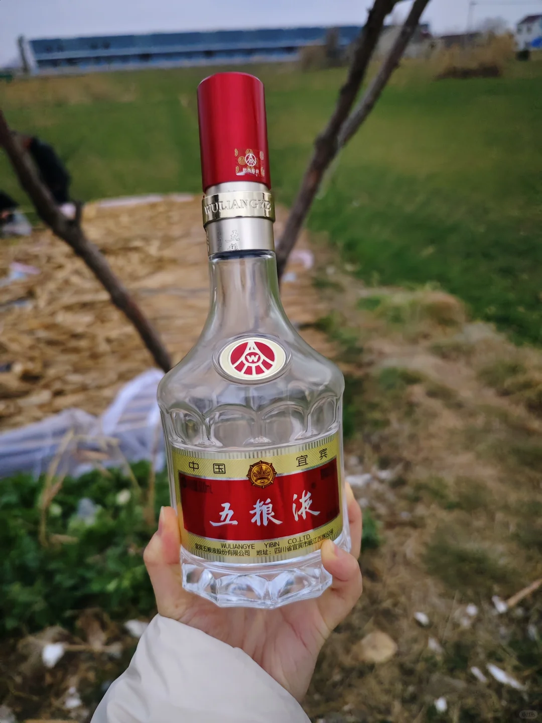 垂直入坑