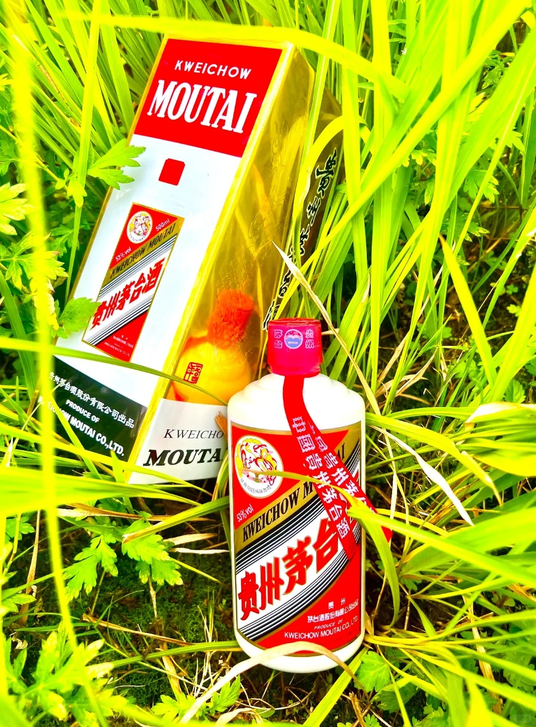 飞天茅台酒和五粮液到底选哪个啊！？