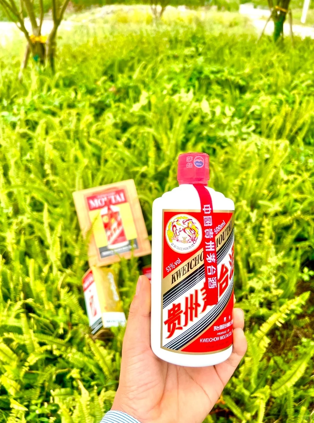 飞天茅台酒和五粮液到底选哪个啊！？