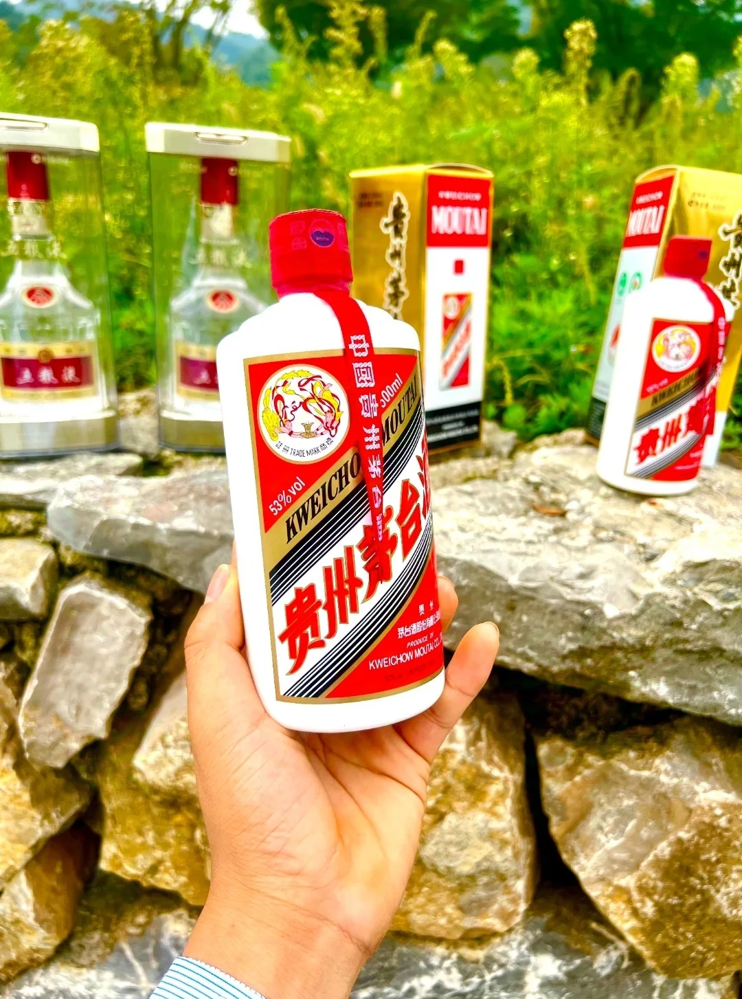 飞天茅台酒和五粮液到底选哪个啊！？