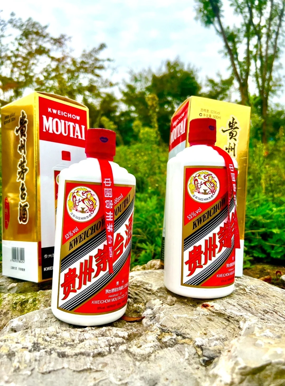 飞天茅台酒和五粮液到底选哪个啊！？