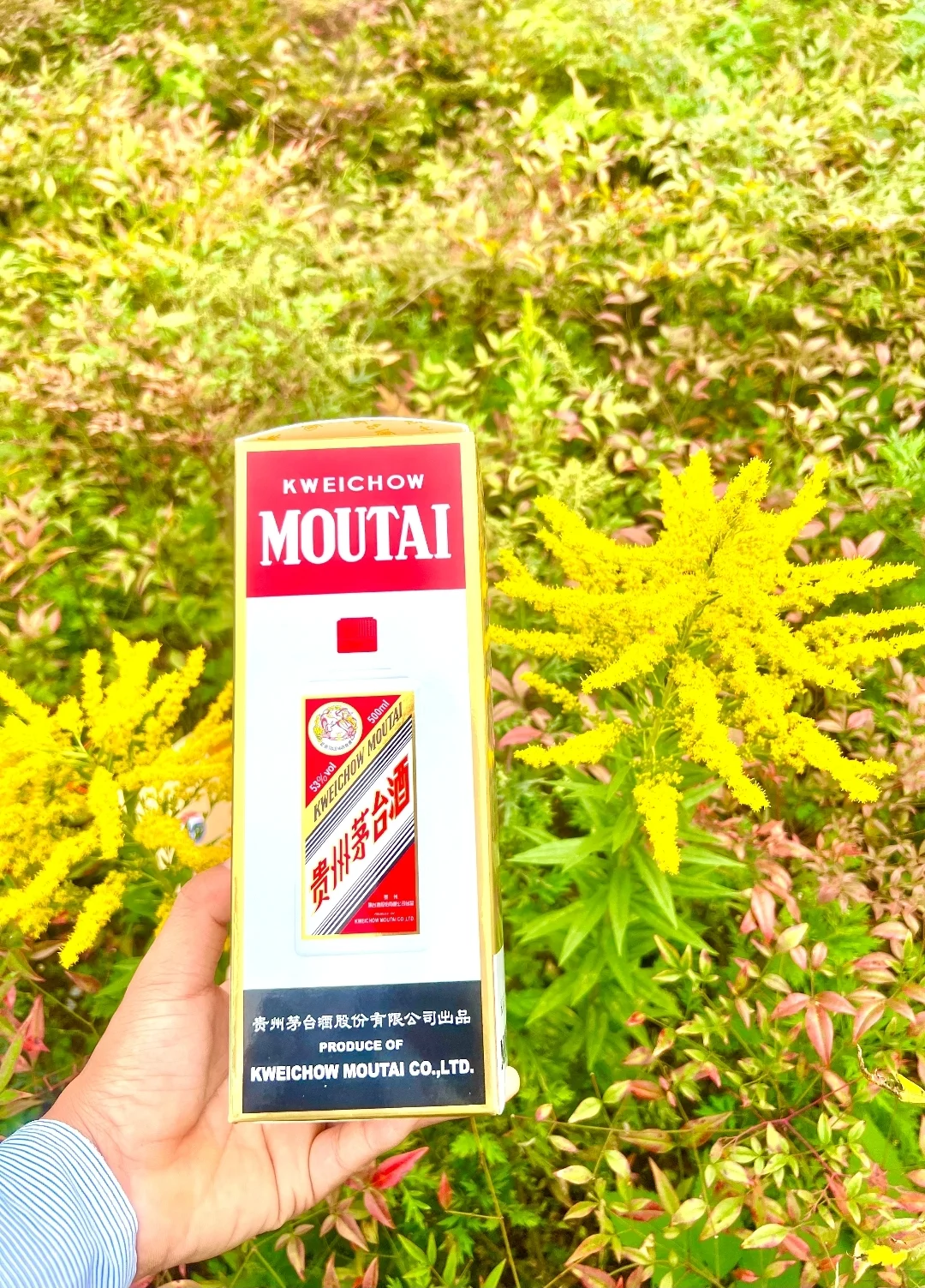 飞天茅台酒和五粮液到底选哪个啊！？