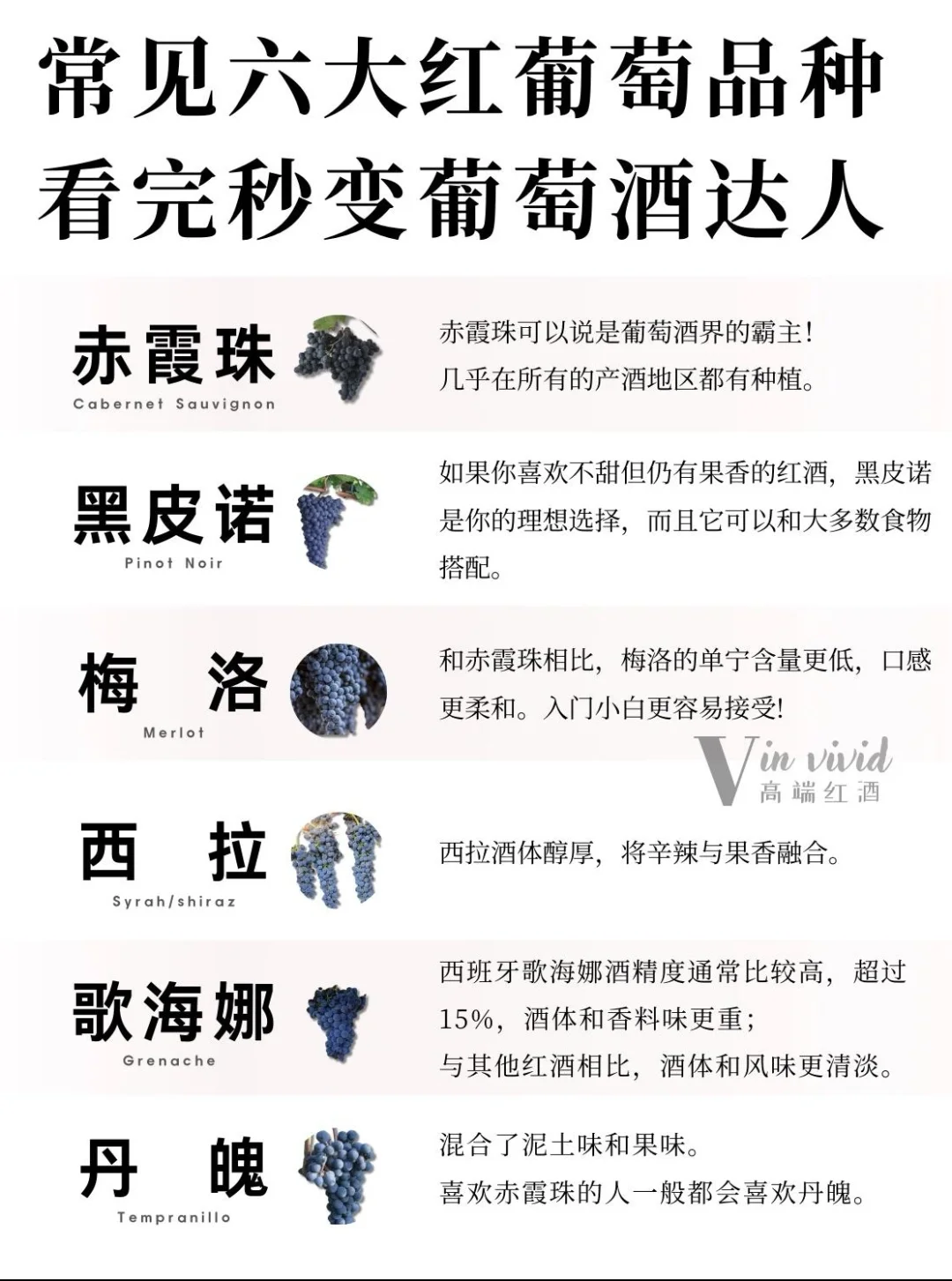葡萄酒入门知识｜六大品种带你秒懂葡萄酒！