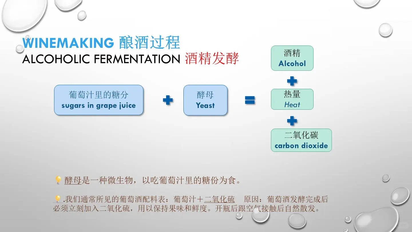 葡萄酒是什么？