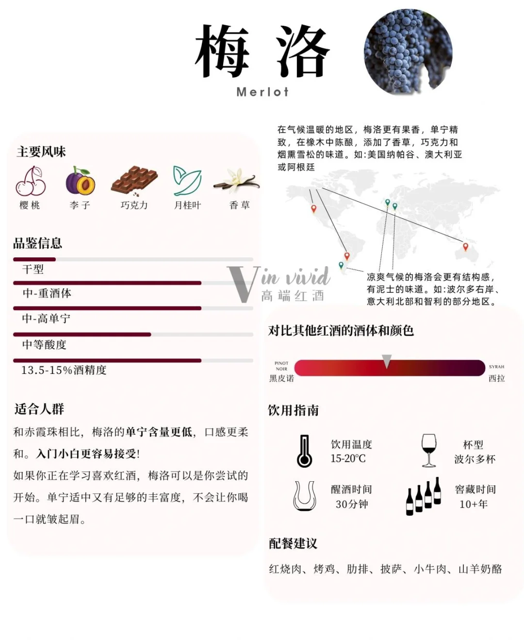 葡萄酒入门知识｜六大品种带你秒懂葡萄酒！