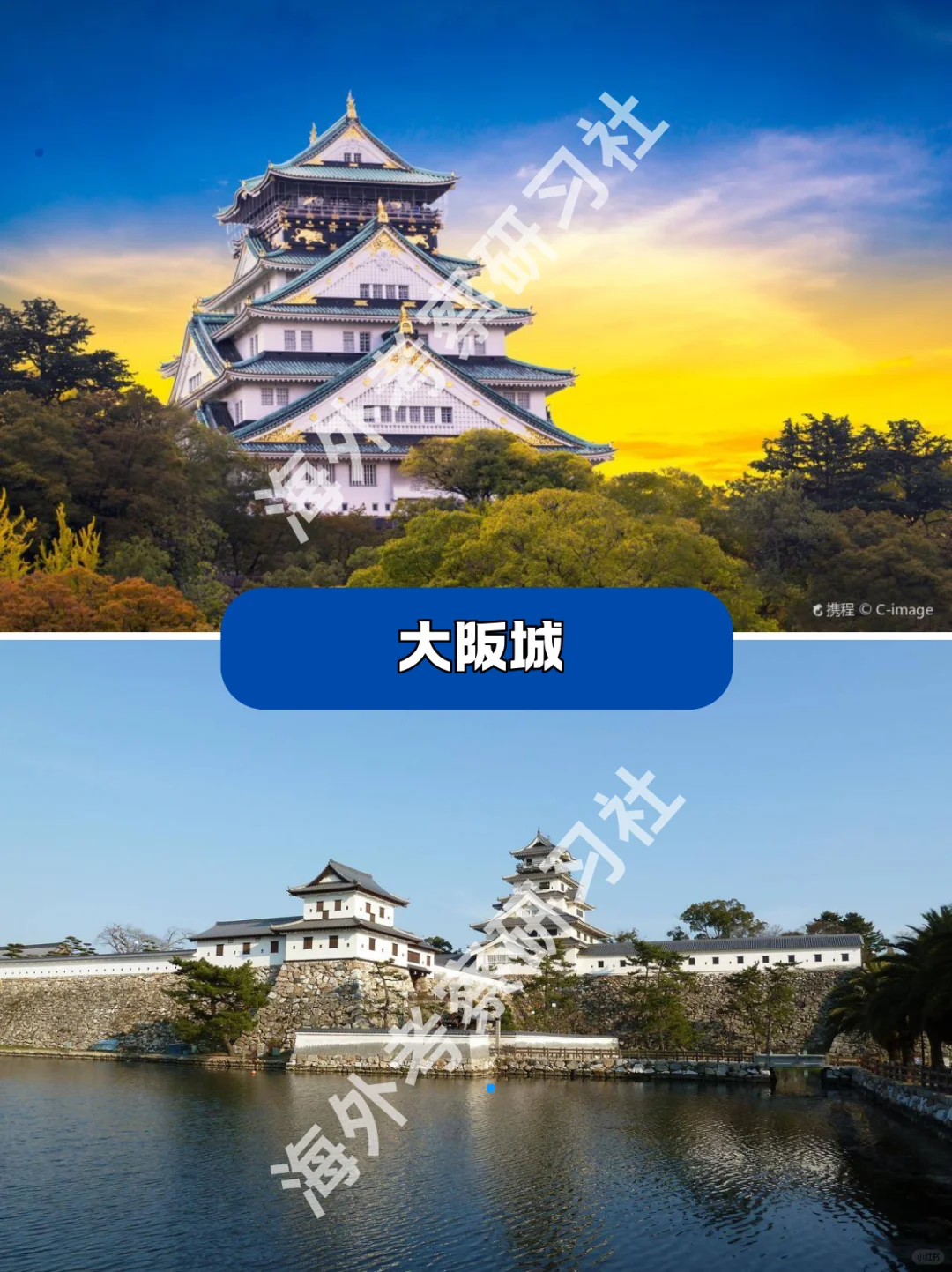 ?案例行程 I 日本醫療行业考察