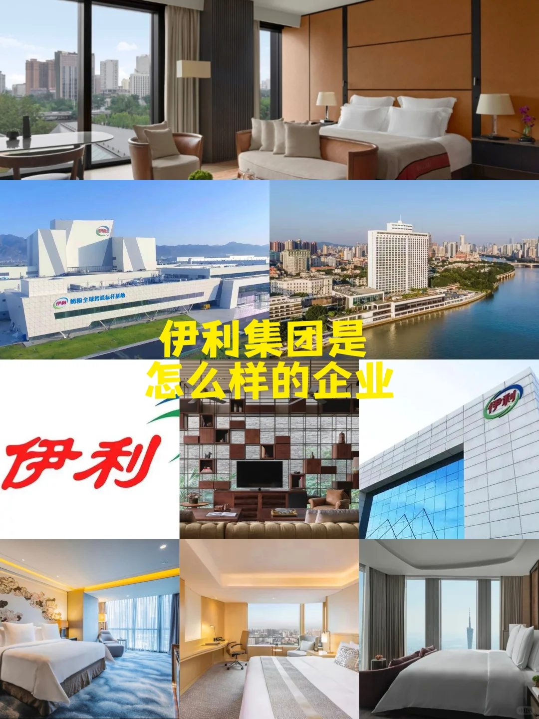 伊利集团是怎么样的企业？