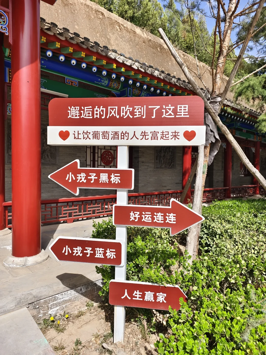 让喜欢喝红酒的人先富起来