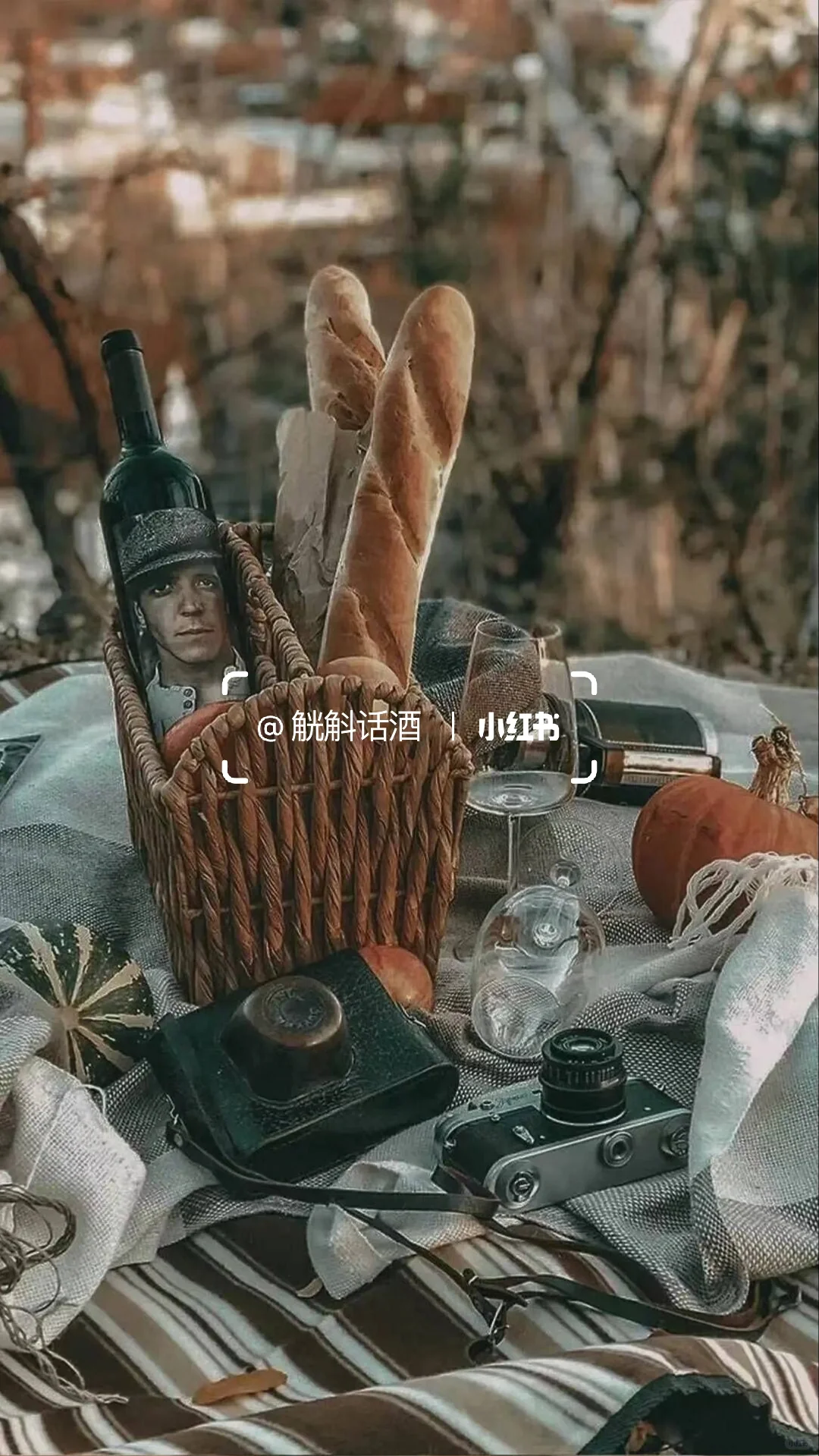 西班牙丹魄之王 马督小僧红葡萄酒