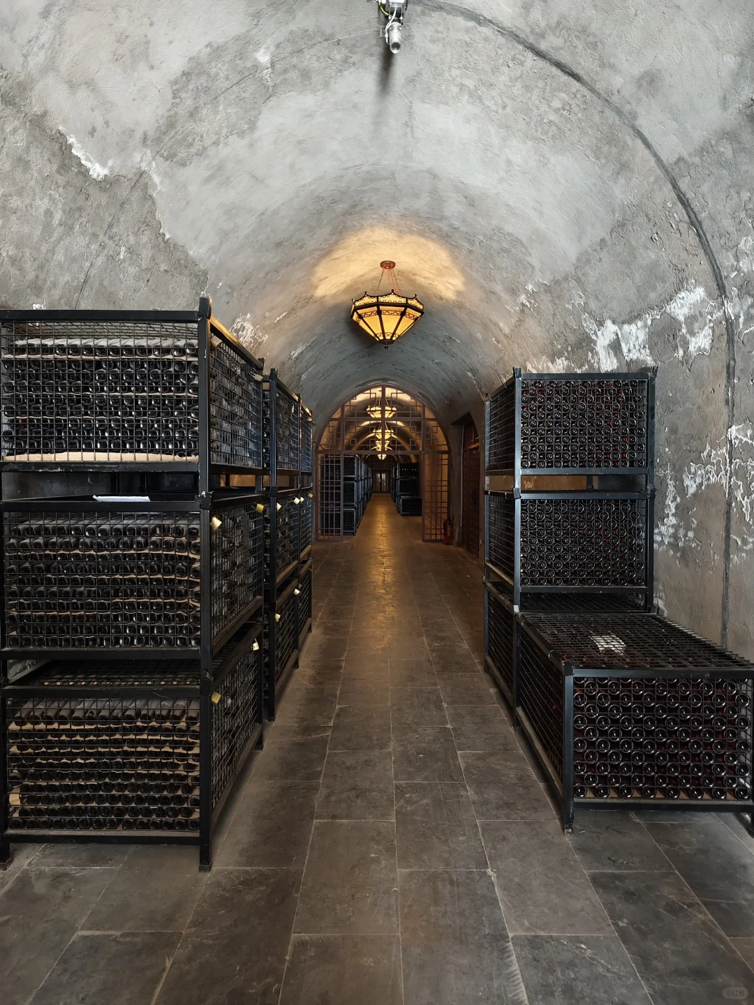 让喜欢喝红酒的人先富起来