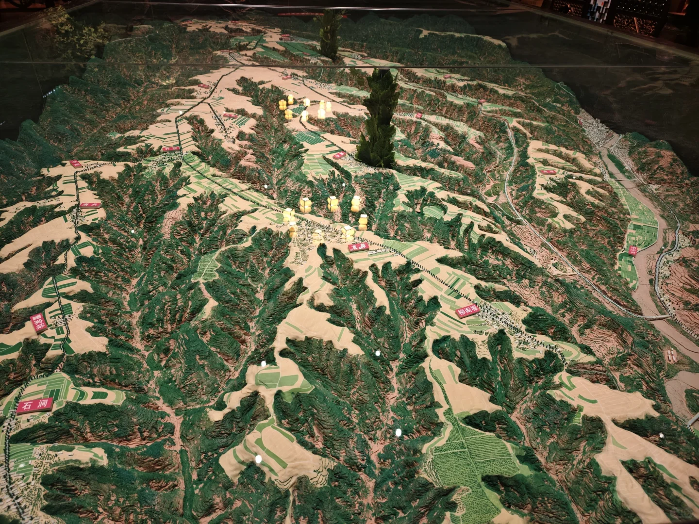 让喜欢喝红酒的人先富起来