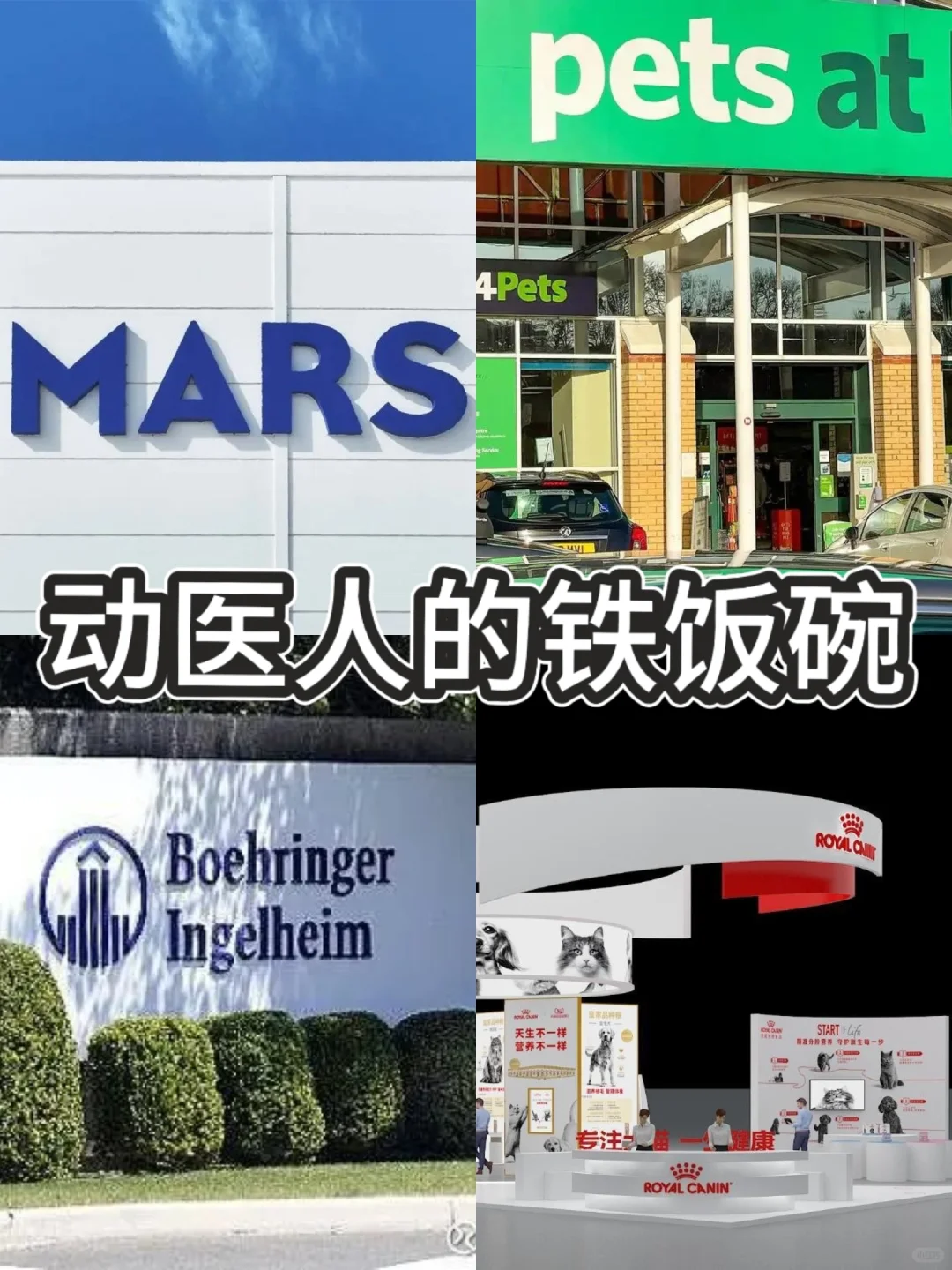 动医人也有属于自己的铁饭碗
