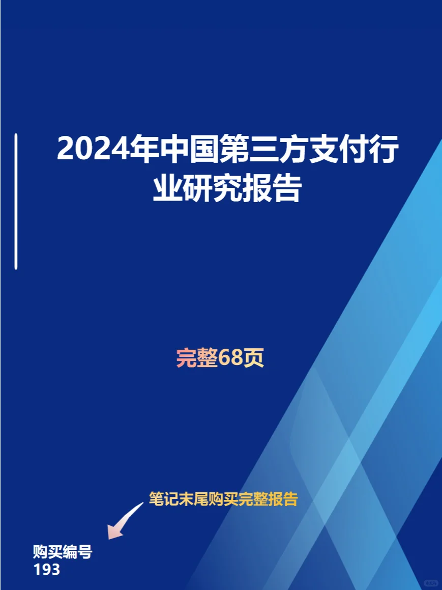 2024年中国第三方支付行业研究报告