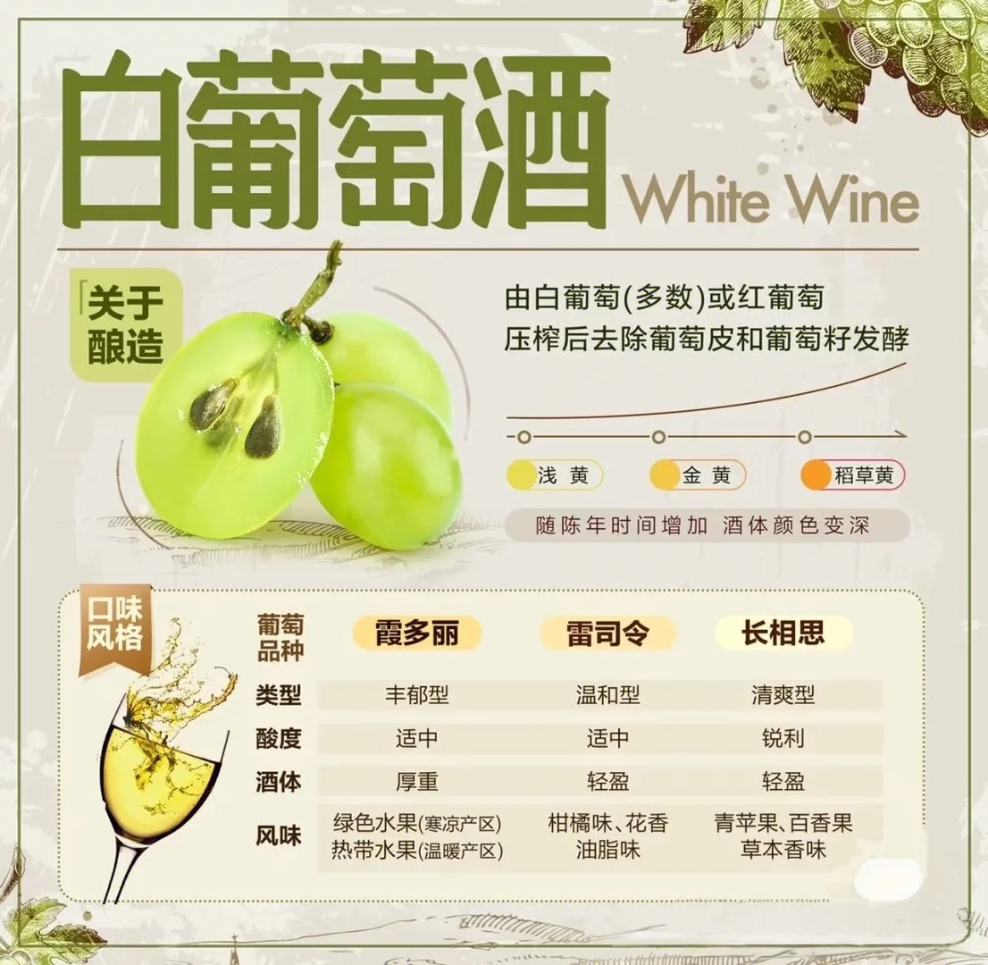 ✨ 女生必看！3分钟搞懂葡萄酒、选酒品酒