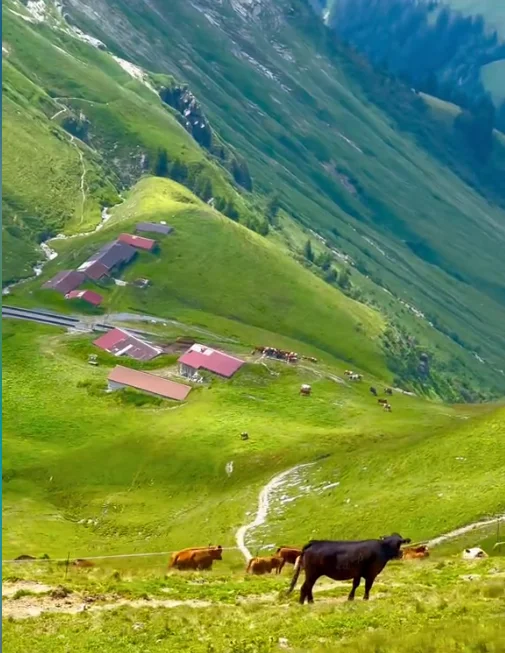 靠谱的电商品牌控价公司