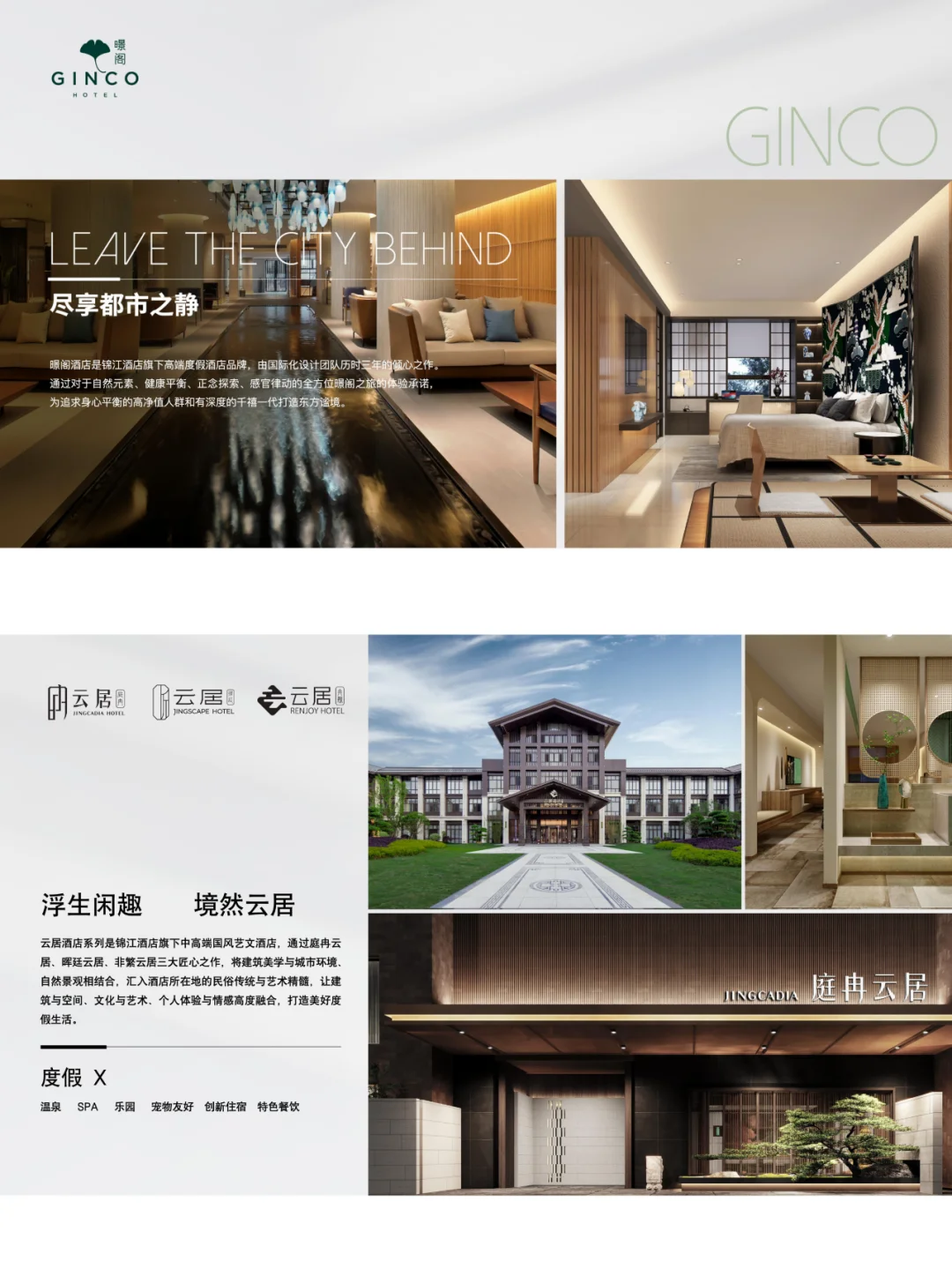 银发经济崛起！酒旅行业如何突围市场？