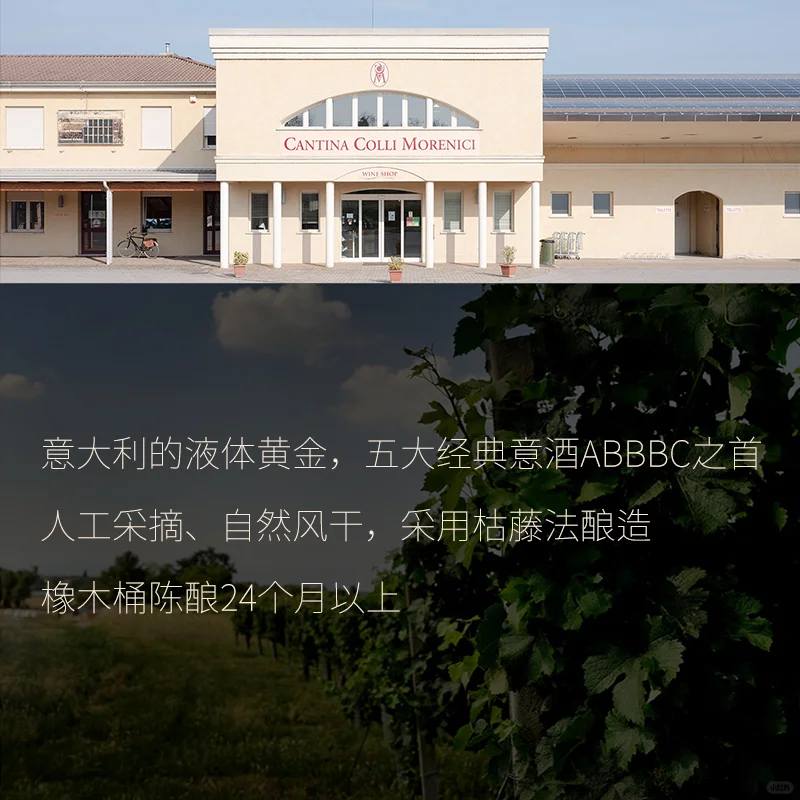 意大利瓦庞特纳阿玛罗尼红葡萄酒