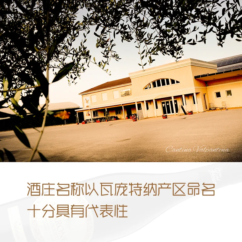 意大利瓦庞特纳阿玛罗尼红葡萄酒