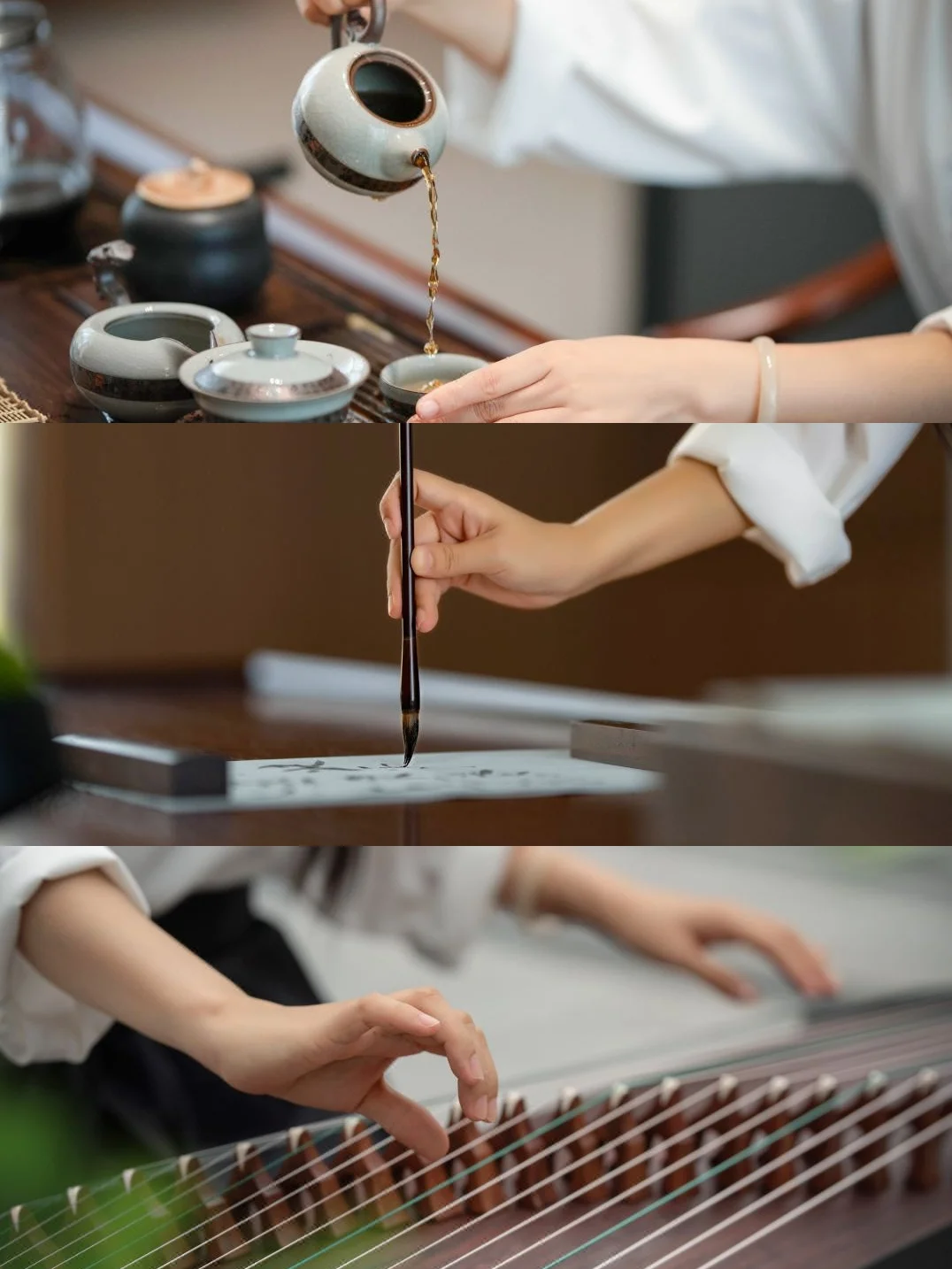 银发经济崛起！酒旅行业如何突围市场？