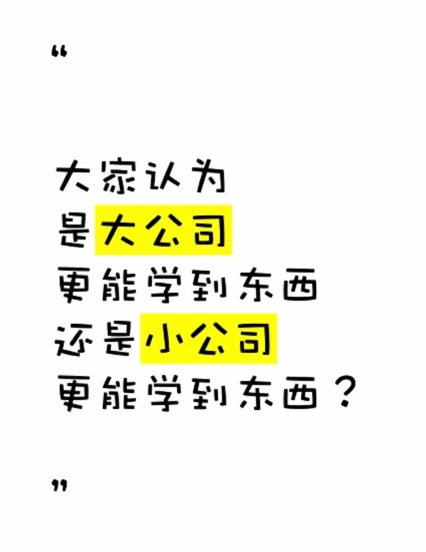 是大公司呢？还是小公司？更能学到东西呢？