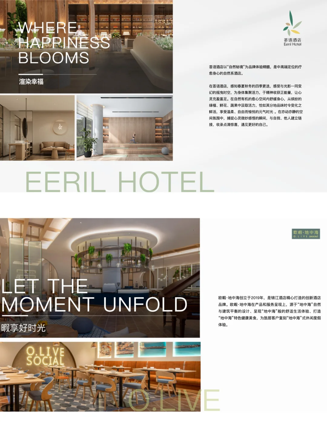 银发经济崛起！酒旅行业如何突围市场？