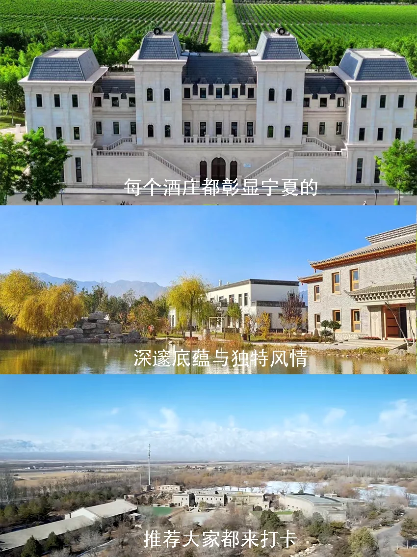 向新而行｜和董宇辉一起领略宁夏葡萄酒文化