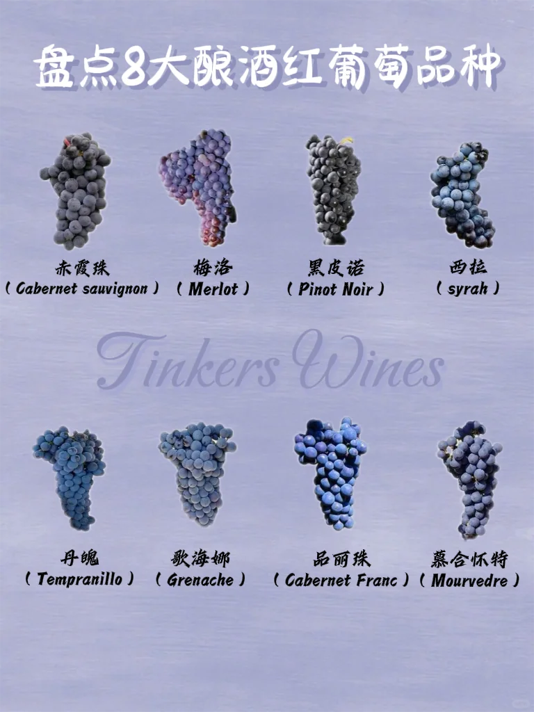 酿酒葡萄?上千种，看完这篇你就懂❗️