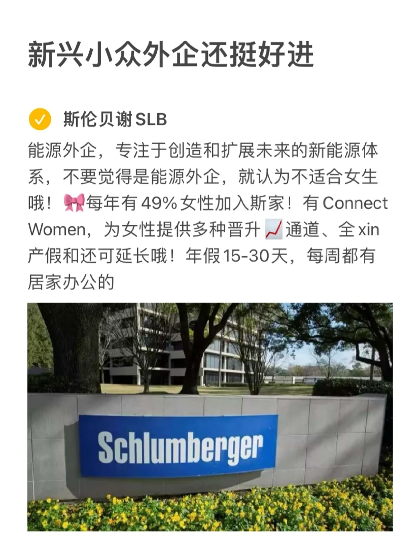 新兴小众外企真的好进nice⁉️