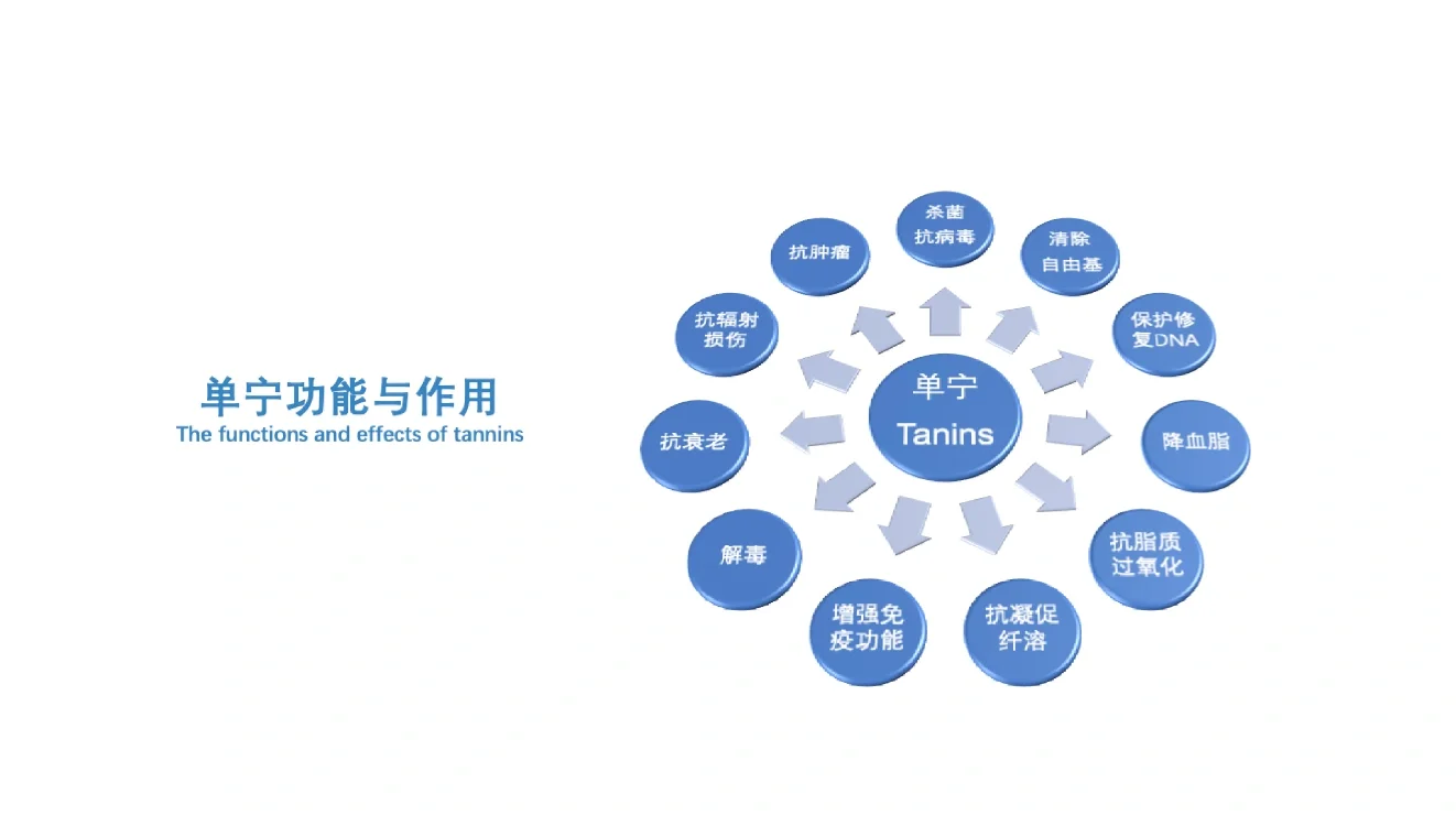 一分钟带你弄明白葡萄酒里的单宁