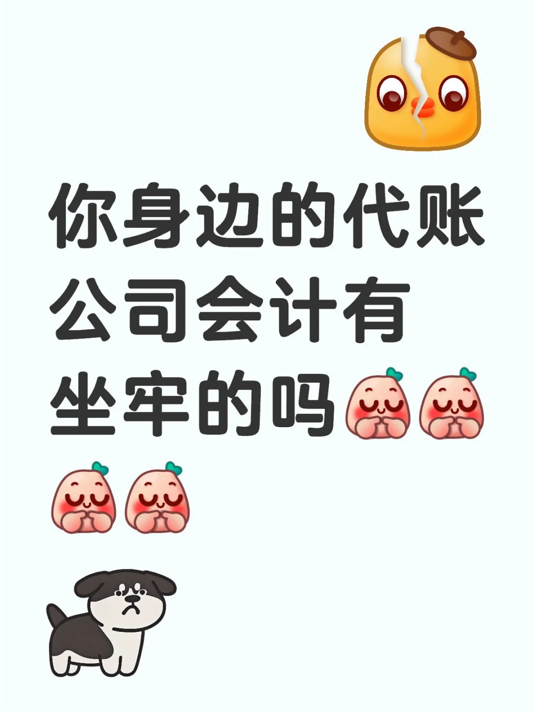 你身边的会计有进去的吗？