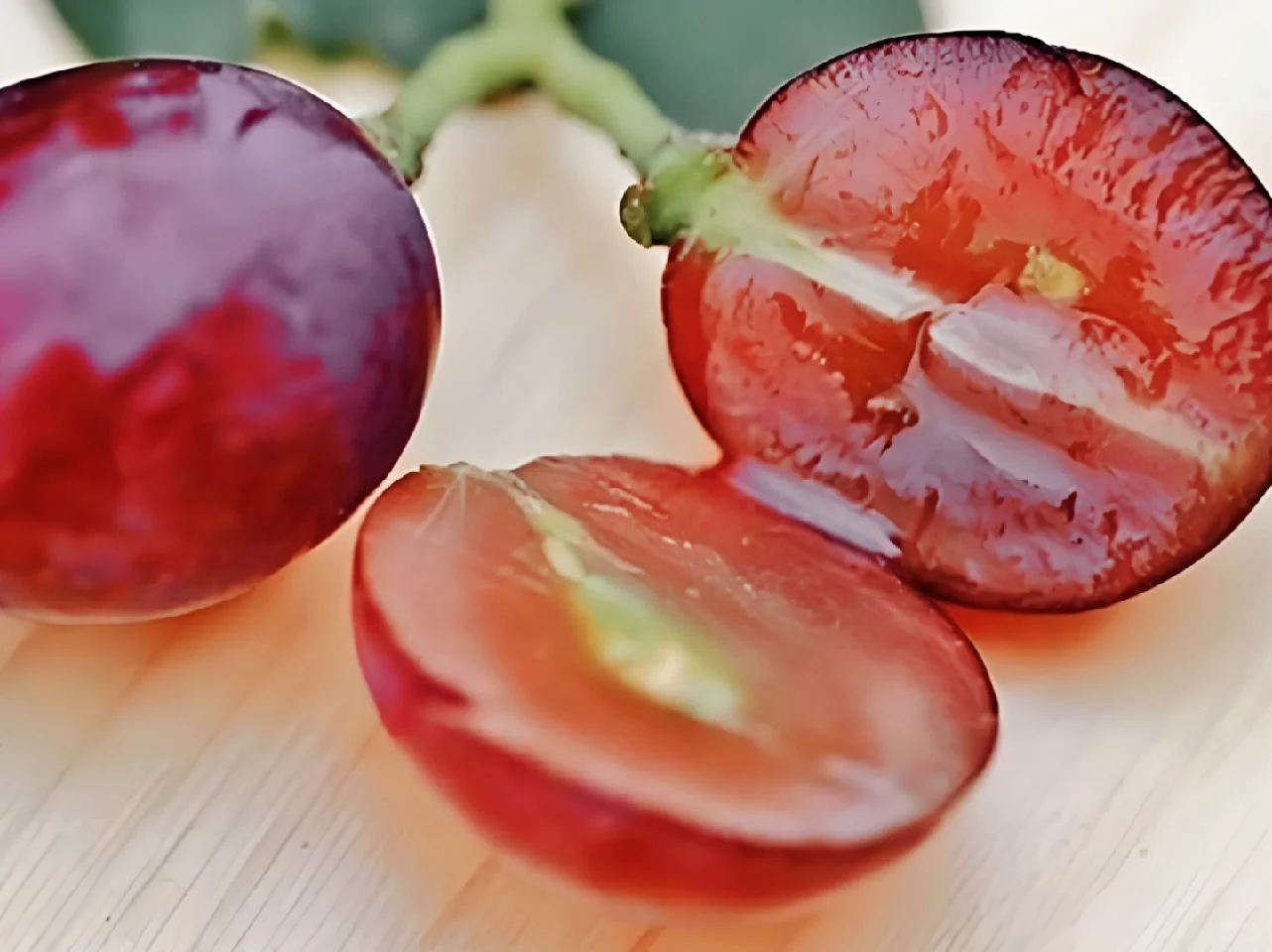 一分钟带你弄明白葡萄酒里的单宁