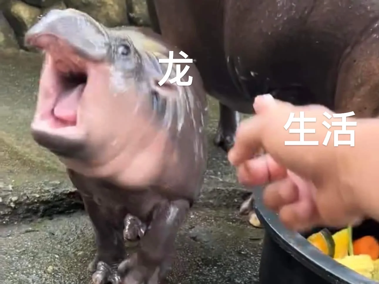 精酿厂牌招人看看我