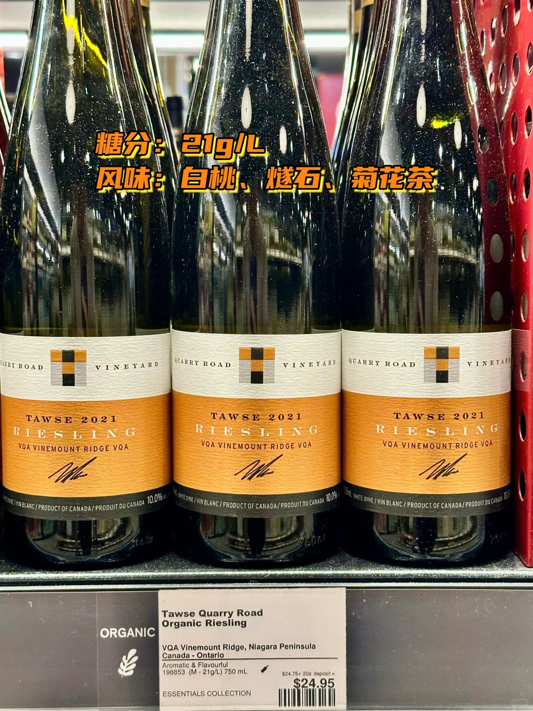 LCBO｜从干到甜的高性价比白葡萄酒推荐！