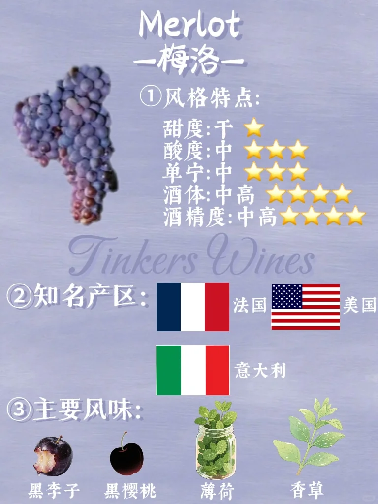 酿酒葡萄?上千种，看完这篇你就懂❗️