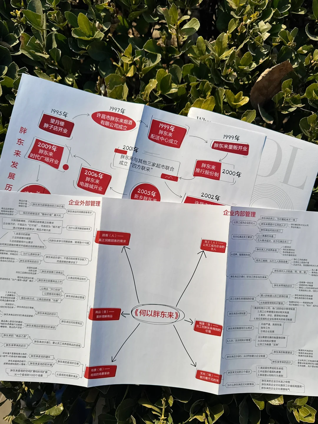 胖东来，何以成为中国超市的天花板？