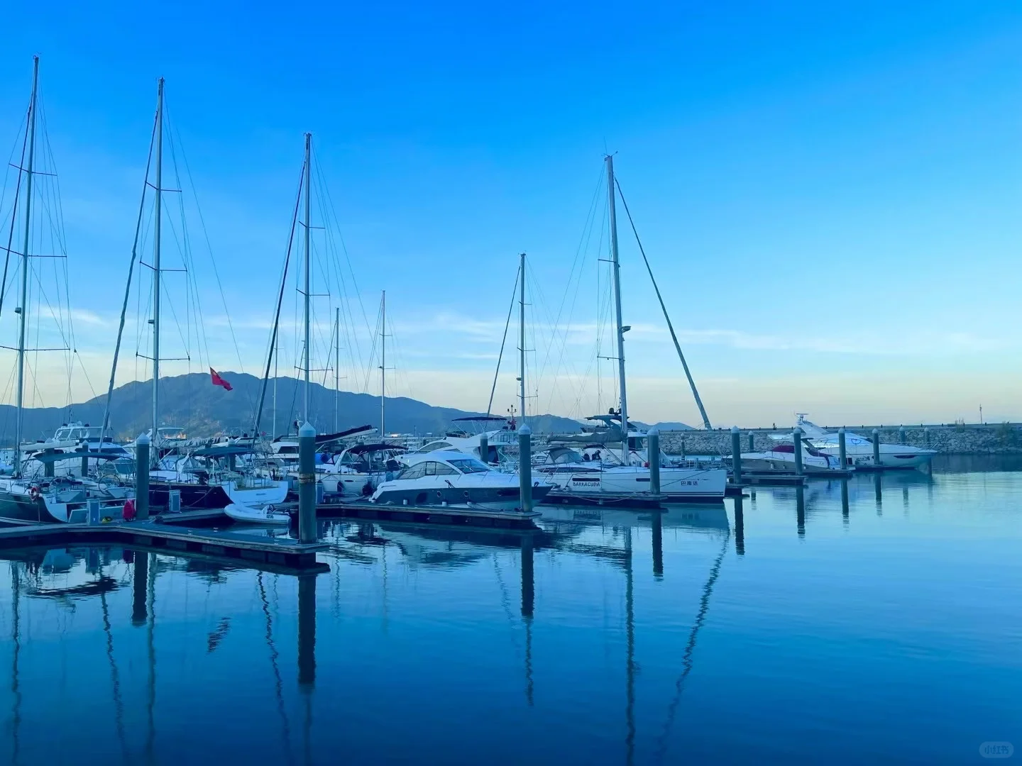 A9女企业家找人工智能精英男士，无偿?